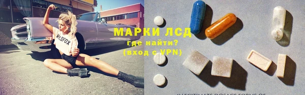 стаф Богородск