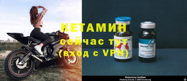 стаф Богородск